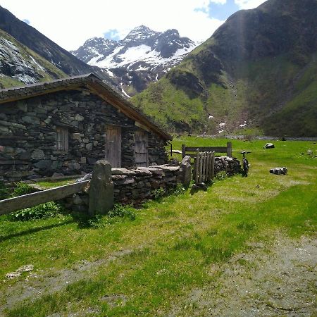 Apartament Panorama Wohung Hollersbach im Pinzgau Zewnętrze zdjęcie