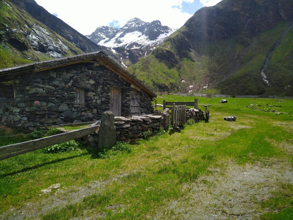Apartament Panorama Wohung Hollersbach im Pinzgau Zewnętrze zdjęcie